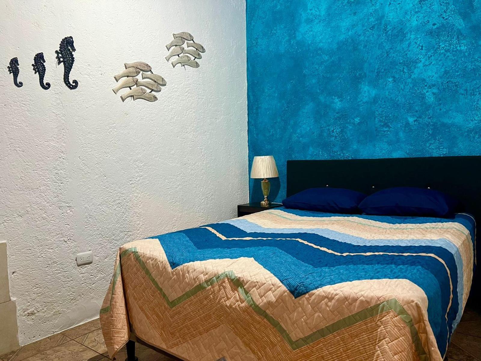 Wonderland Hostel Antigua Dış mekan fotoğraf