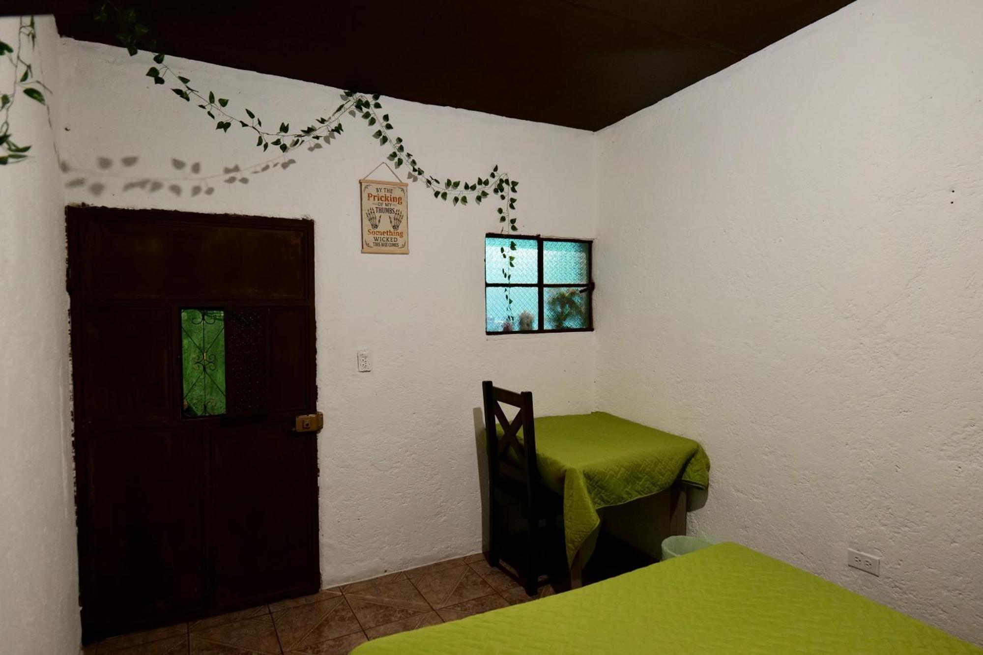 Wonderland Hostel Antigua Dış mekan fotoğraf