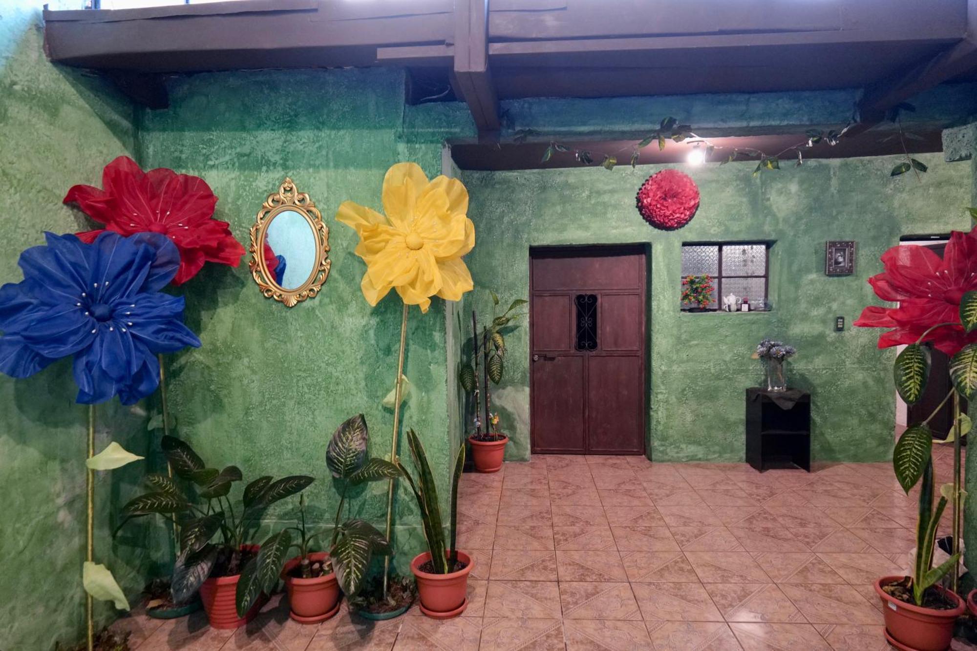 Wonderland Hostel Antigua Dış mekan fotoğraf
