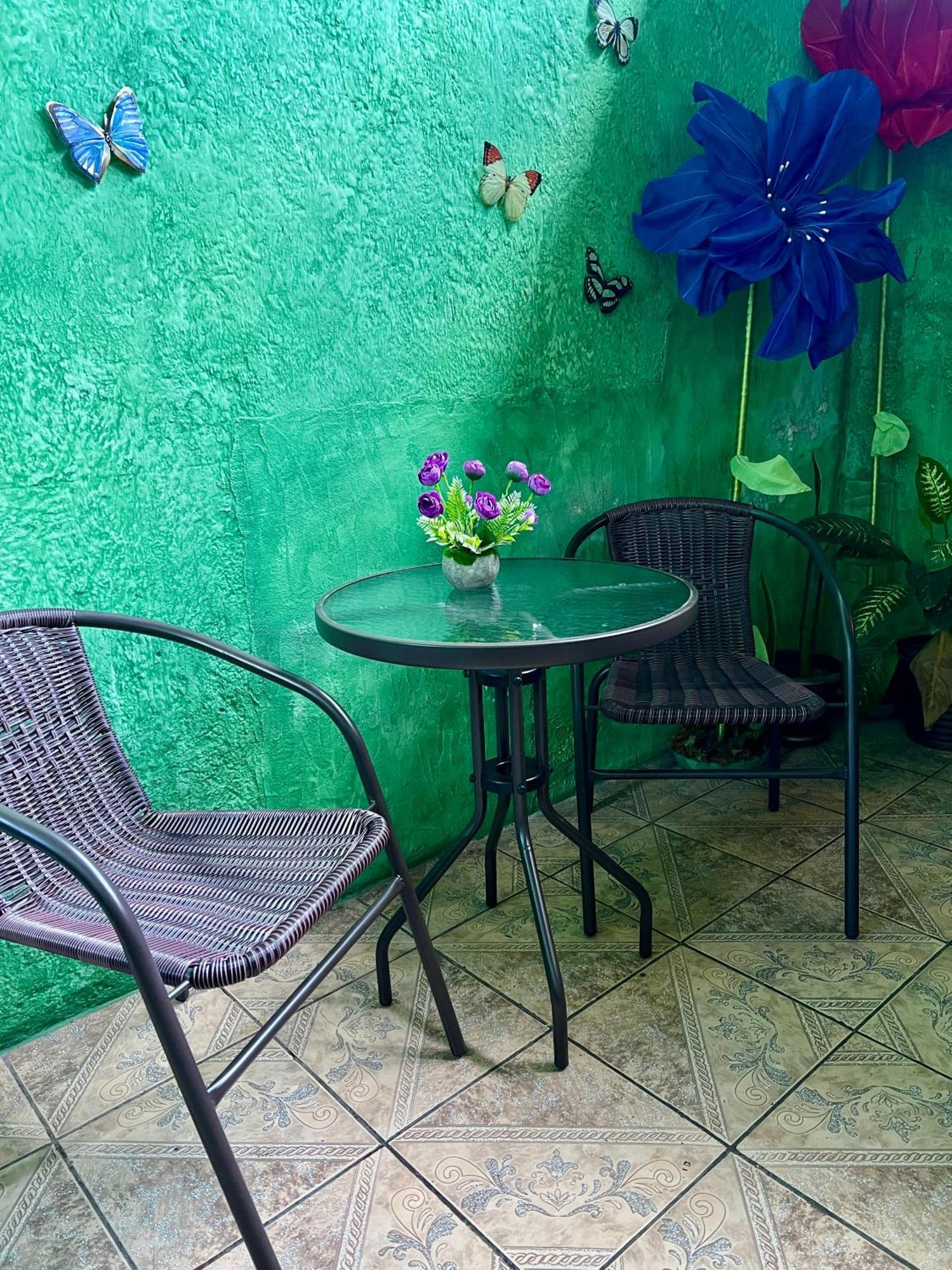 Wonderland Hostel Antigua Dış mekan fotoğraf